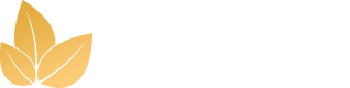Light Logo